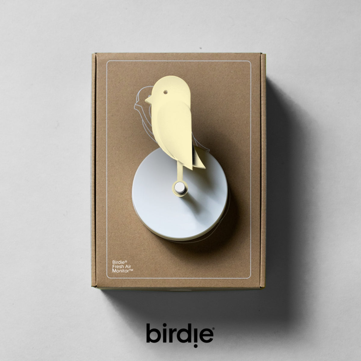 BIRDIE - Visual indoor air quality monitor