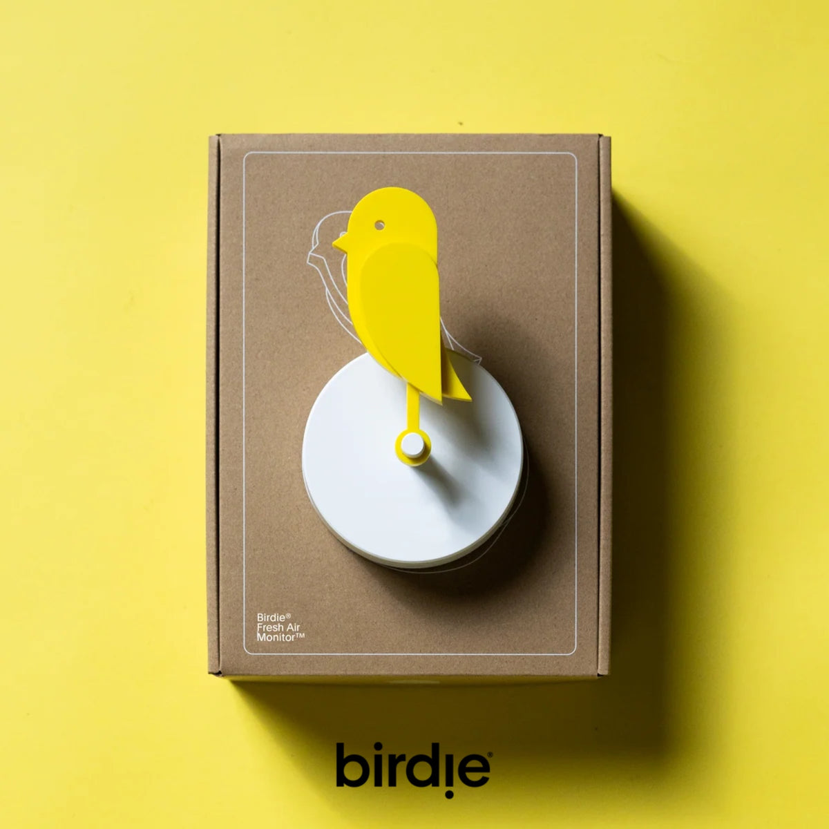 BIRDIE - Visual indoor air quality monitor