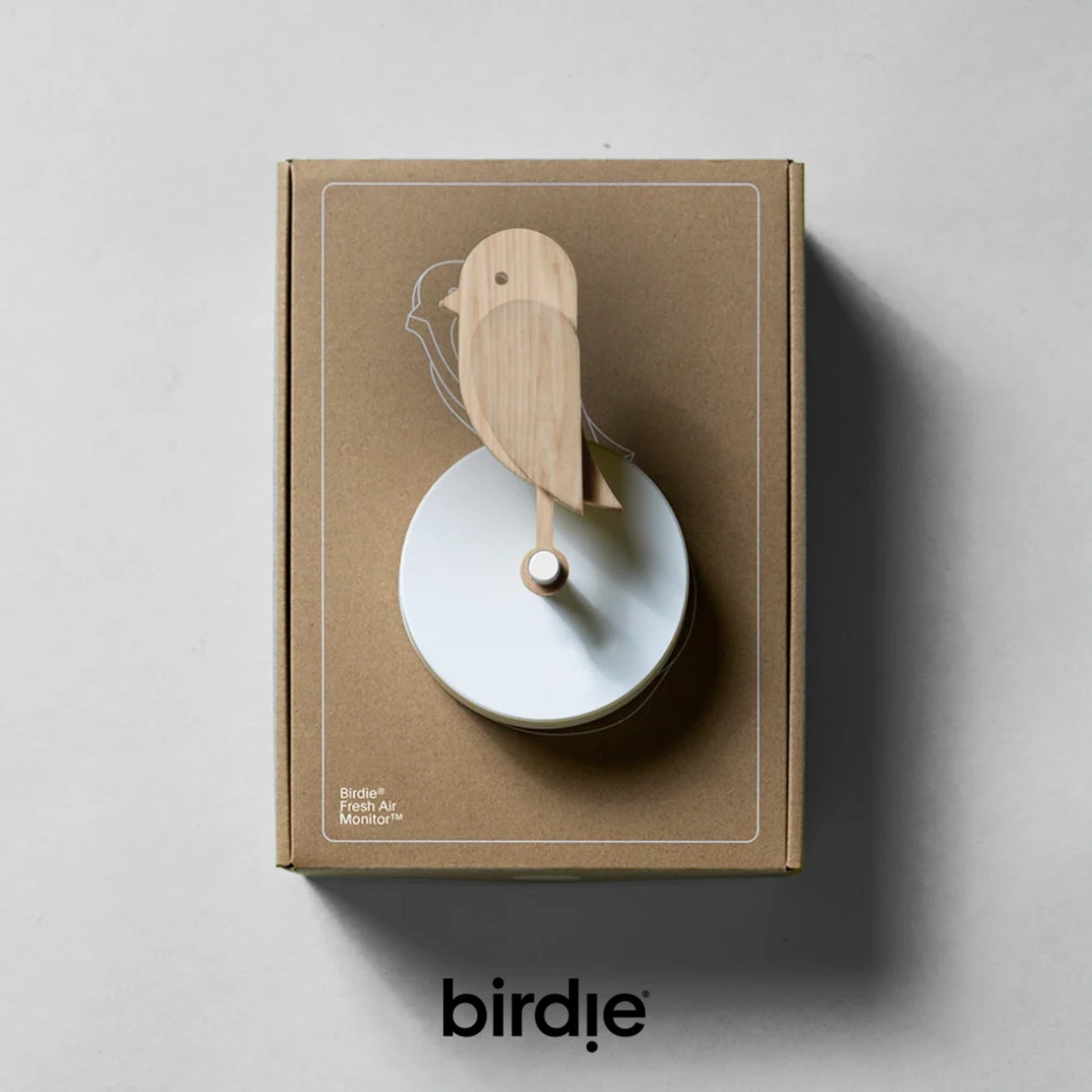 BIRDIE - Visual indoor air quality monitor