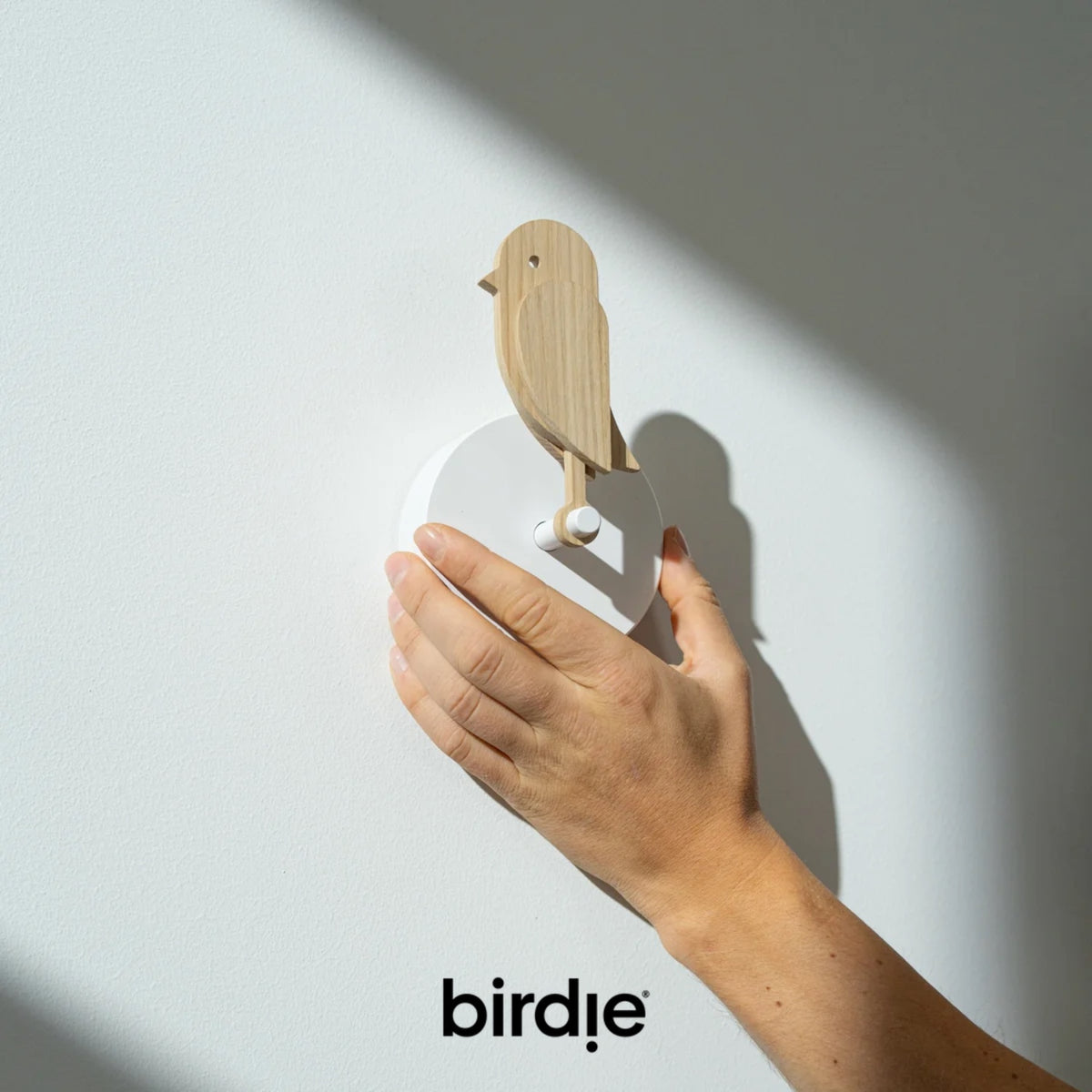 BIRDIE - Visual indoor air quality monitor